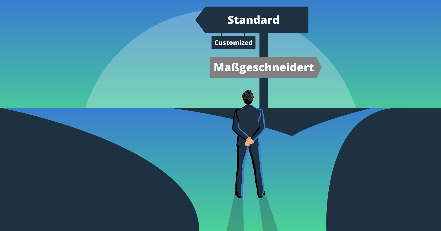 Standard, Customized or Tailor-Made? How to Choose the Right Business Software
